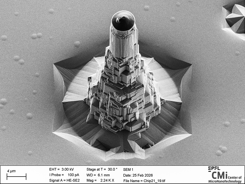 Picture of the month