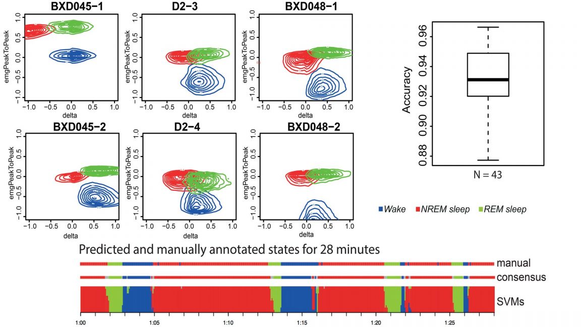 Signal Processing ‒ ptbicc ‐ EPFL