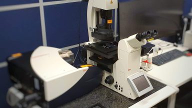 Leica SP8 invert microscope