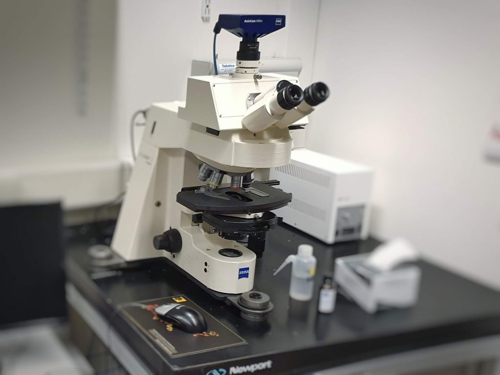 Zeiss Axioplan Microscope