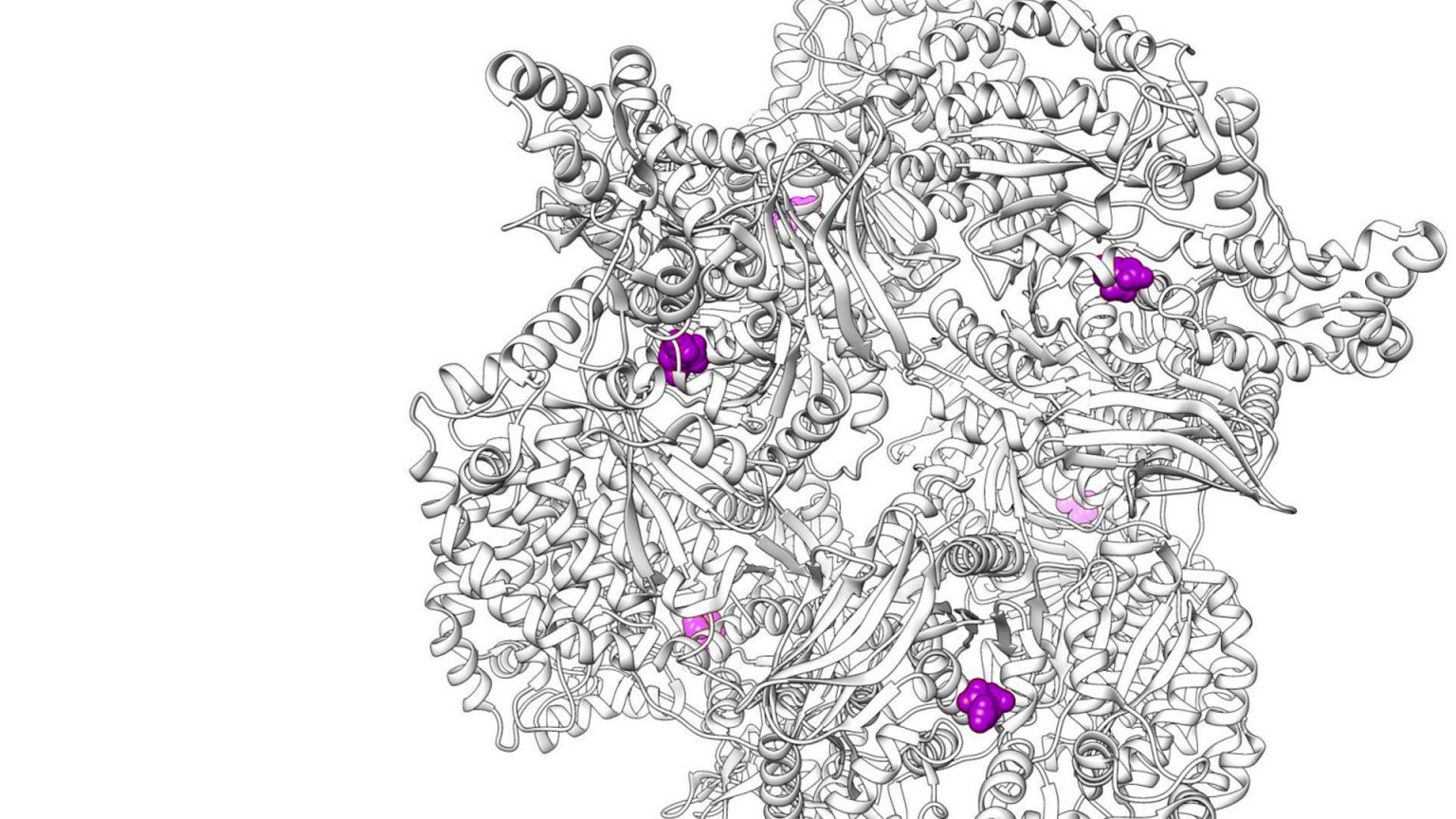 Protein structure