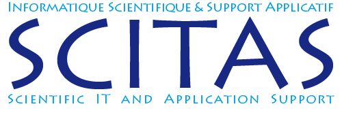 Informatique Scientifique Et Support Applicatif Epfl