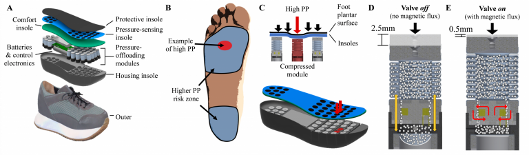 IPOF: Intelligent Pressure Offloading Footwear ‒ From Lab to Market ‐ EPFL