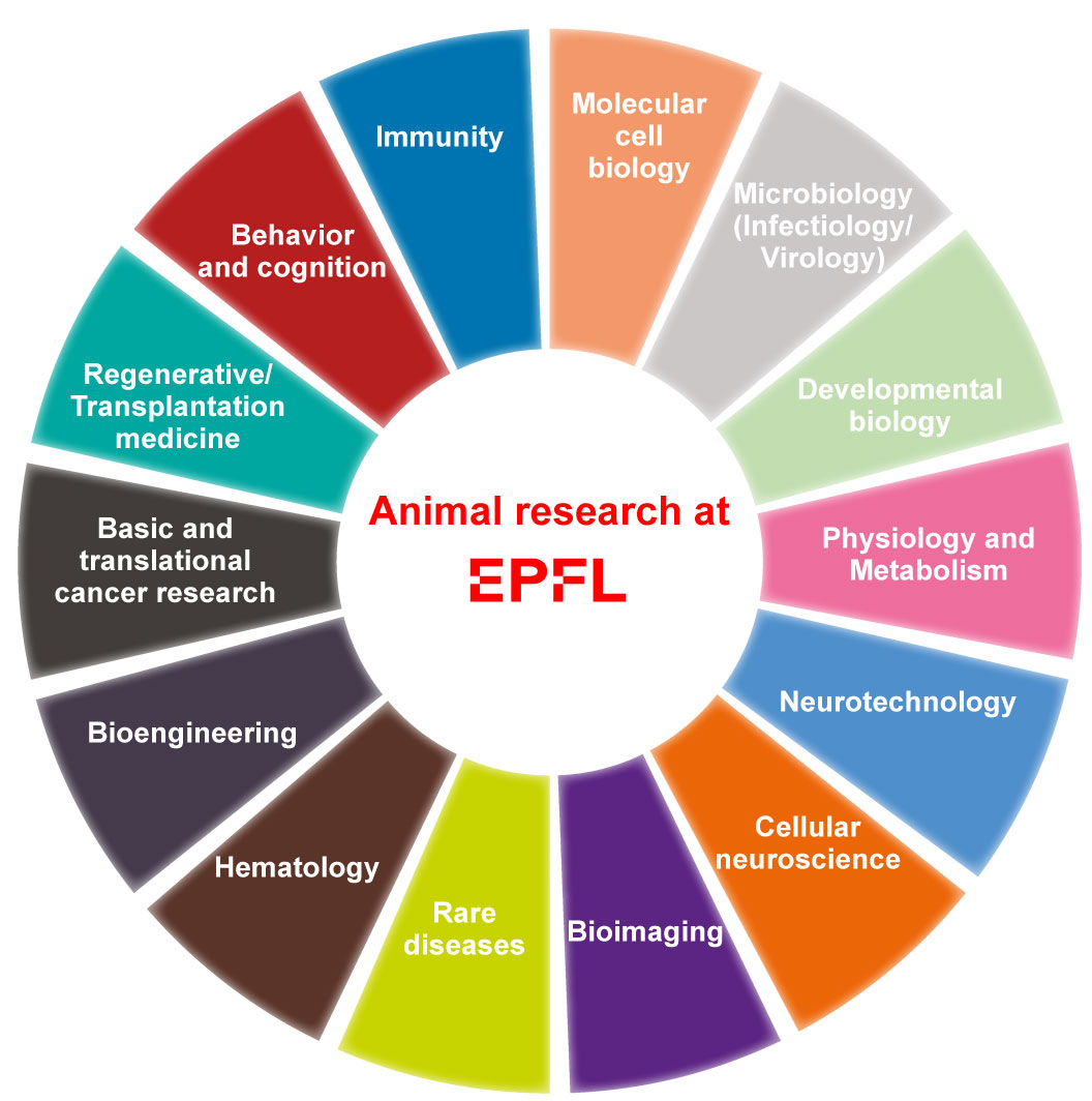 What kind of research with animals? ‒ Research ‐ EPFL