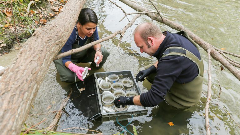 prélévements dans l'eau