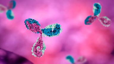 Age, sex, and specific human genetic variants are the key factors behind differences between immune responses among healthy humans - © iStock