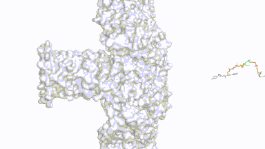 Single-Molecule Biology. ©Cao lab EPFL