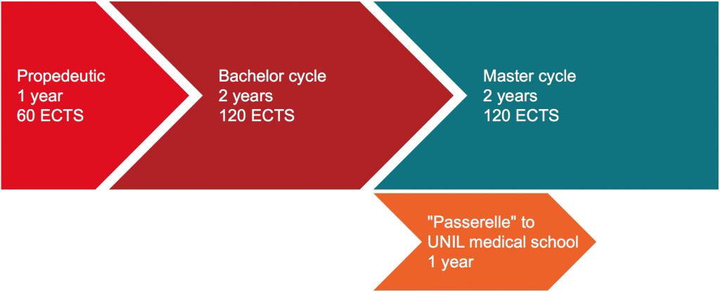 SV Study Cycle